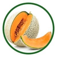 Cucumis Melo (Muskmelon)