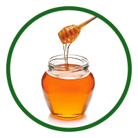 Honey (Apis)